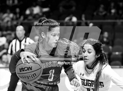 Thumbnail 2 in Spanish Springs vs Bishop Gorman (NIAA 4A Semifinal) photogallery.