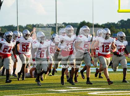 Thumbnail 3 in Cedartown @ Denmark photogallery.