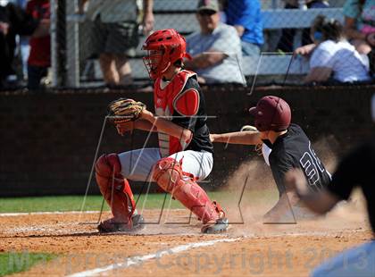 Thumbnail 3 in Hazel Green @ Sparkman photogallery.