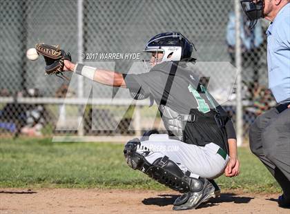 Thumbnail 1 in Florin @ Monterey Trail photogallery.