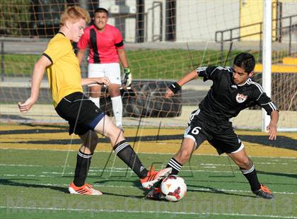 Thumbnail 2 in Vacaville @ Rio Linda (CIF SJS D2 Playoffs) photogallery.