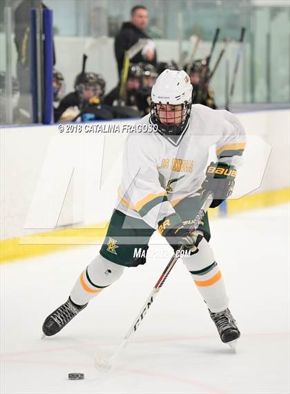 Thumbnail 2 in Paramus Catholic @ Morris Knolls photogallery.