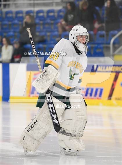 Thumbnail 1 in Paramus Catholic @ Morris Knolls photogallery.