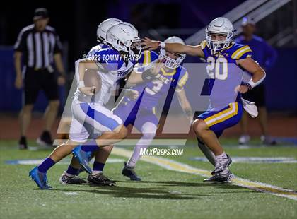 Thumbnail 1 in Brock @ Peaster photogallery.