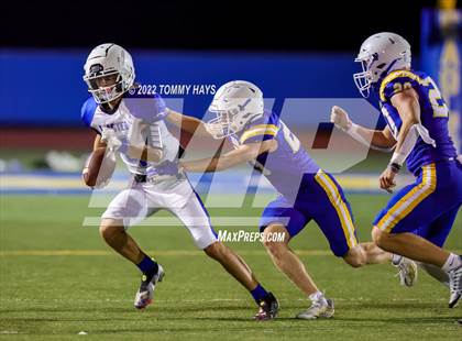 Thumbnail 1 in Brock @ Peaster photogallery.
