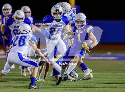 Thumbnail 3 in Brock @ Peaster photogallery.