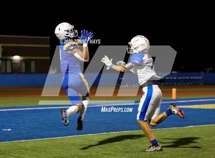 Thumbnail 1 in Brock @ Peaster photogallery.