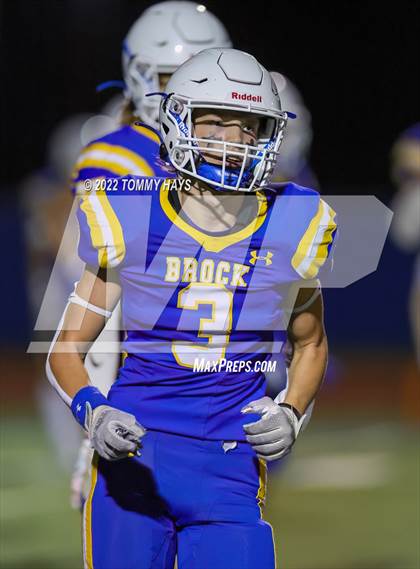 Thumbnail 3 in Brock @ Peaster photogallery.