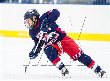 Thumbnail 1 in Smith/Tolland/Windham vs New Fairfield/Immaculate (CIAC Division III Quarterfinal) photogallery.