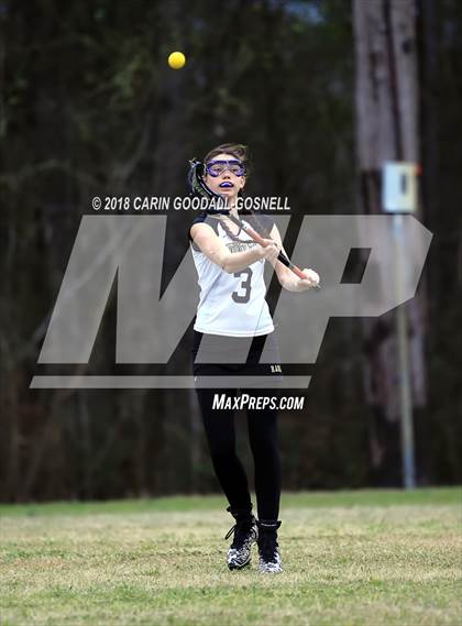 Thumbnail 1 in New Bern @ Havelock photogallery.