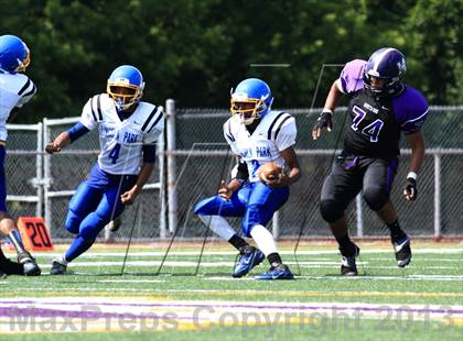 Thumbnail 3 in Lincoln Park @ Rolling Meadows photogallery.