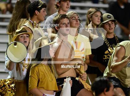 Thumbnail 3 in Foster @ Angleton photogallery.