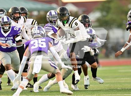 Thumbnail 2 in Foster @ Angleton photogallery.