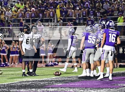 Thumbnail 2 in Foster @ Angleton photogallery.