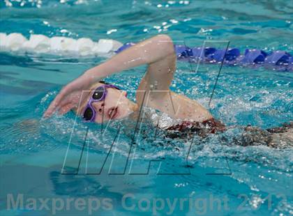 Thumbnail 1 in Platt/Maloney @ Bethel photogallery.
