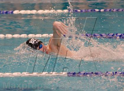 Thumbnail 2 in Platt/Maloney @ Bethel photogallery.