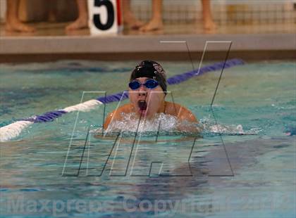 Thumbnail 1 in Platt/Maloney @ Bethel photogallery.