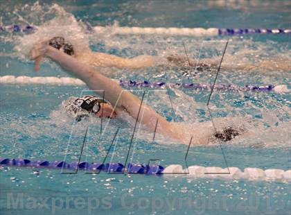 Thumbnail 3 in Platt/Maloney @ Bethel photogallery.