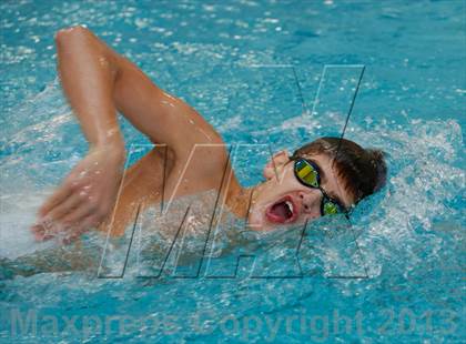 Thumbnail 1 in Platt/Maloney @ Bethel photogallery.