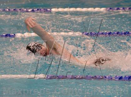 Thumbnail 3 in Platt/Maloney @ Bethel photogallery.