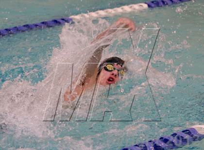 Thumbnail 2 in Platt/Maloney @ Bethel photogallery.