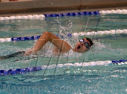 Thumbnail 3 in Platt/Maloney @ Bethel photogallery.