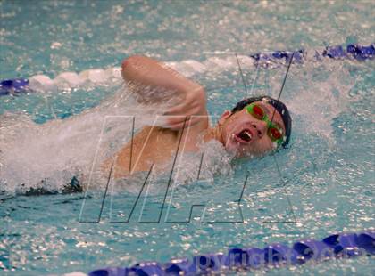 Thumbnail 3 in Platt/Maloney @ Bethel photogallery.