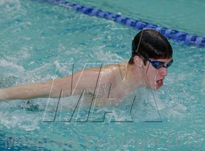 Thumbnail 1 in Platt/Maloney @ Bethel photogallery.