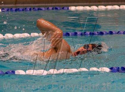 Thumbnail 2 in Platt/Maloney @ Bethel photogallery.