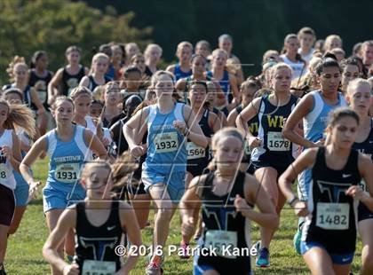 Thumbnail 3 in Monroe Parker Invitational photogallery.