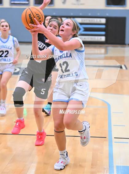 Thumbnail 1 in Estrella Foothills vs. Desert View (Lady Wolves Court Classic) photogallery.