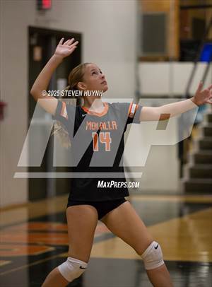 Molalla @ Gladstone