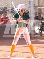 Photo from the gallery "Boulder Creek vs. Horizon"