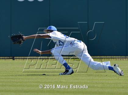 Thumbnail 1 in IMG Academy @ Jesuit photogallery.