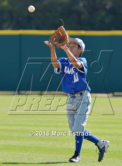 Thumbnail 2 in IMG Academy @ Jesuit photogallery.