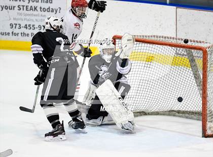 Thumbnail 2 in Hunterdon Central vs Wayne Knights (NJSIAA Public A Semifinal)  photogallery.