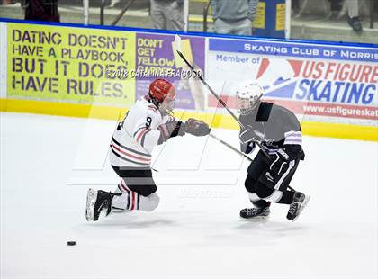 Thumbnail 2 in Hunterdon Central vs Wayne Knights (NJSIAA Public A Semifinal)  photogallery.