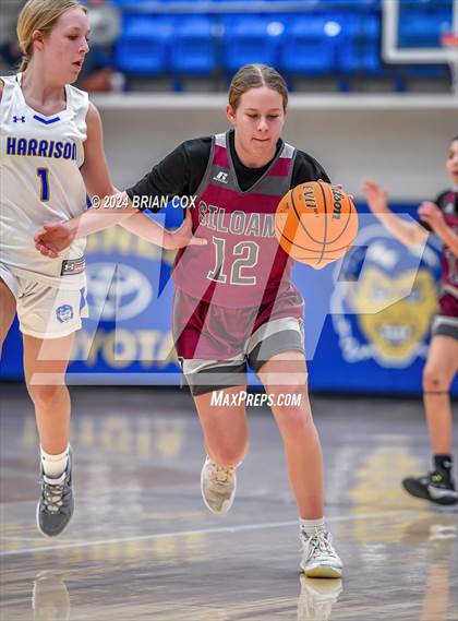 Thumbnail 3 in Siloam Springs @ Harrison (B-Teams) photogallery.