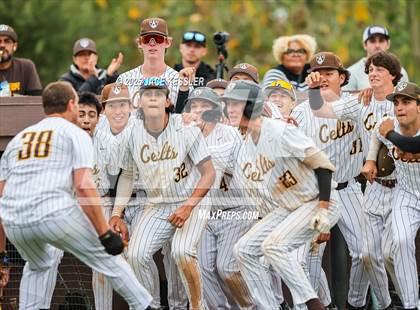 Thumbnail 2 in Chaminade @ Crespi photogallery.