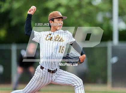 Thumbnail 3 in Chaminade @ Crespi photogallery.