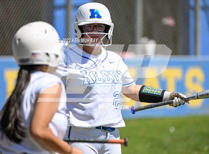 Thumbnail 2 in Klein Forest vs Klein photogallery.
