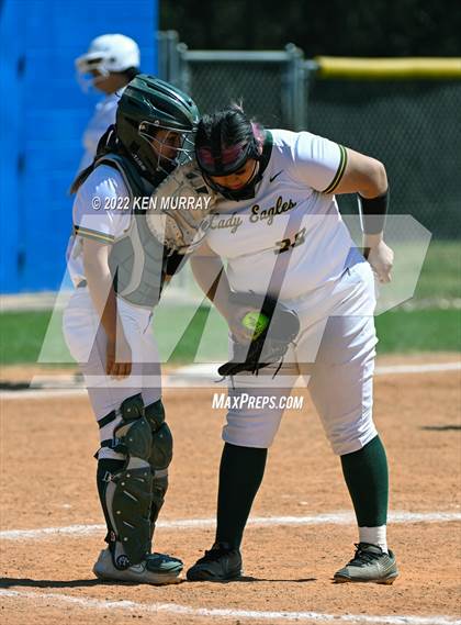 Thumbnail 1 in Klein Forest vs Klein photogallery.