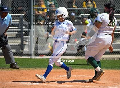 Thumbnail 2 in Klein Forest vs Klein photogallery.