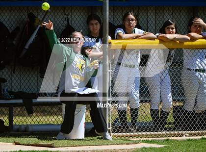 Thumbnail 2 in Klein Forest vs Klein photogallery.