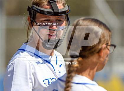 Thumbnail 1 in Klein Forest vs Klein photogallery.