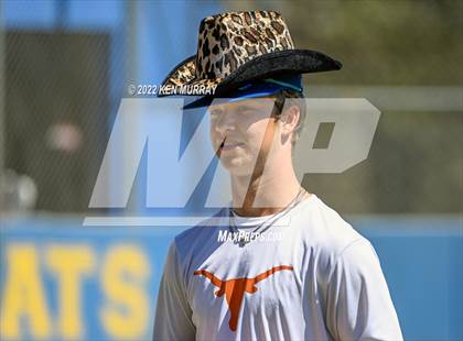 Thumbnail 3 in Klein Forest vs Klein photogallery.
