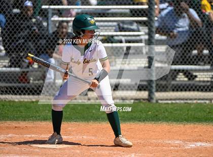 Thumbnail 2 in Klein Forest vs Klein photogallery.