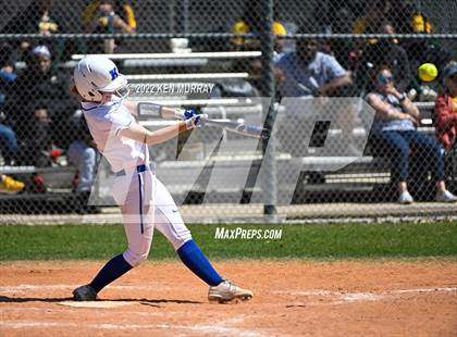 Thumbnail 2 in Klein Forest vs Klein photogallery.