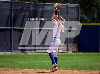 Thumbnail 3 in Klein Forest vs Klein photogallery.
