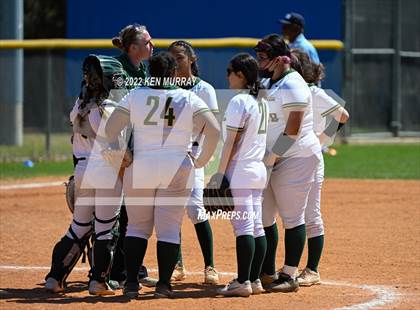 Thumbnail 3 in Klein Forest vs Klein photogallery.